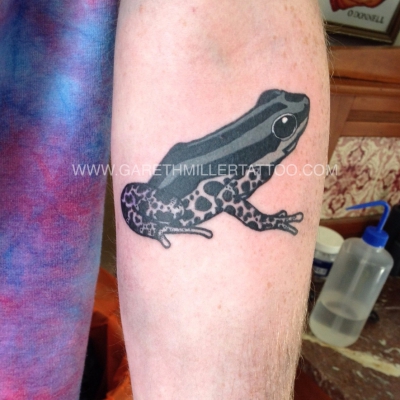 black and grey frog small tattoo soft shading realism tattoo leeds